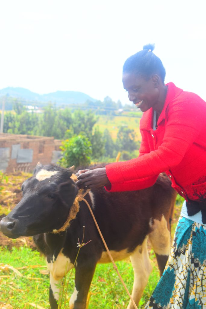 woman farmer untying cow (Kenya)