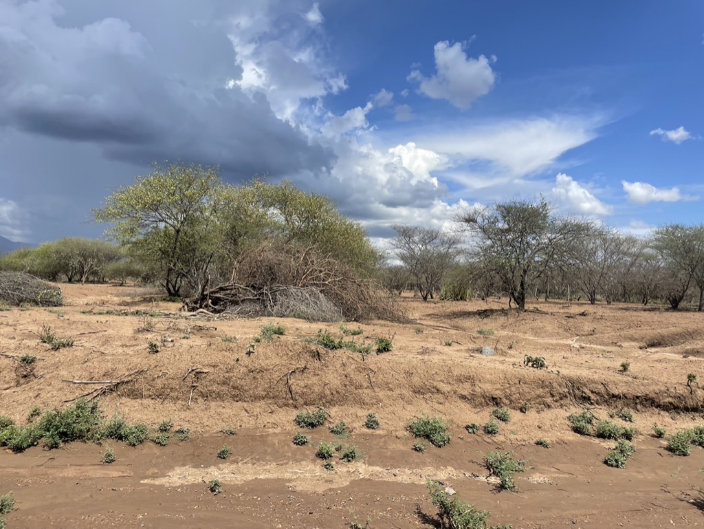 very dry landscape with damaged soil in a semi-arid location of Kenya 