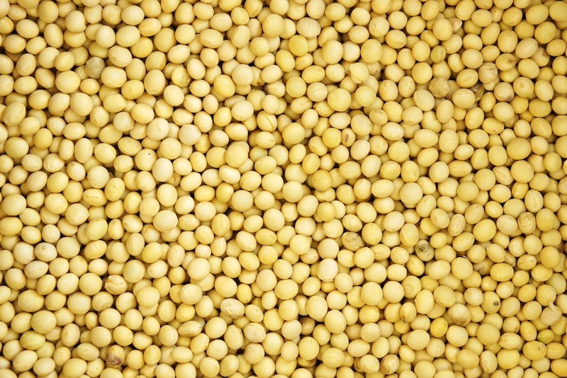 soybeans