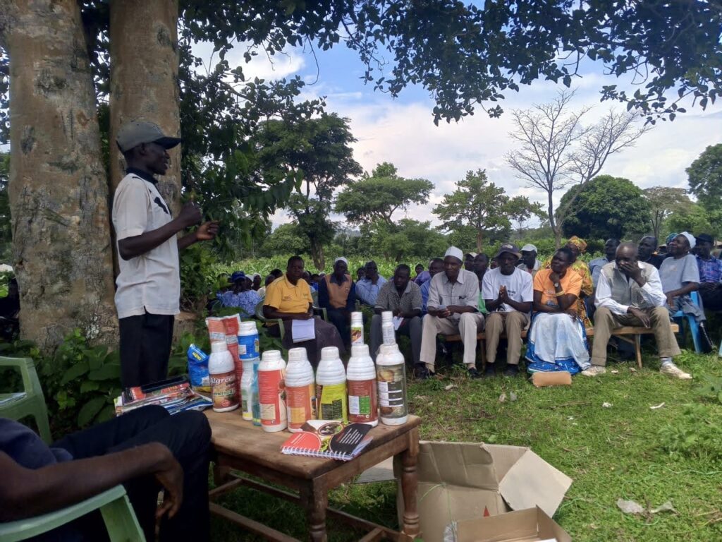 group of people meeting together outside with one person leading the meeting 