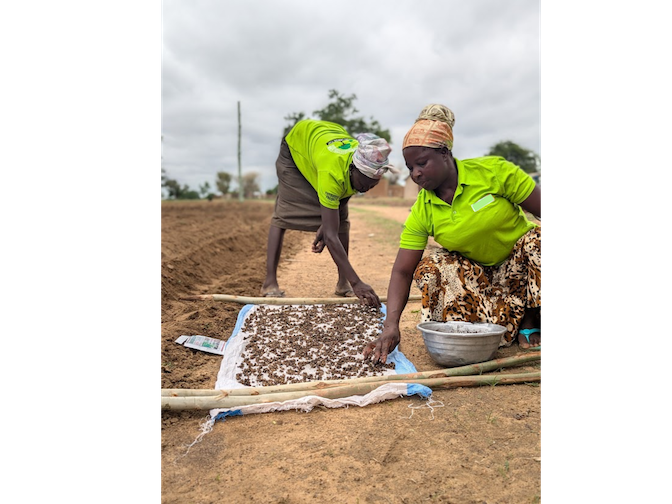 How does weather forecasting technology help alleviate poverty?