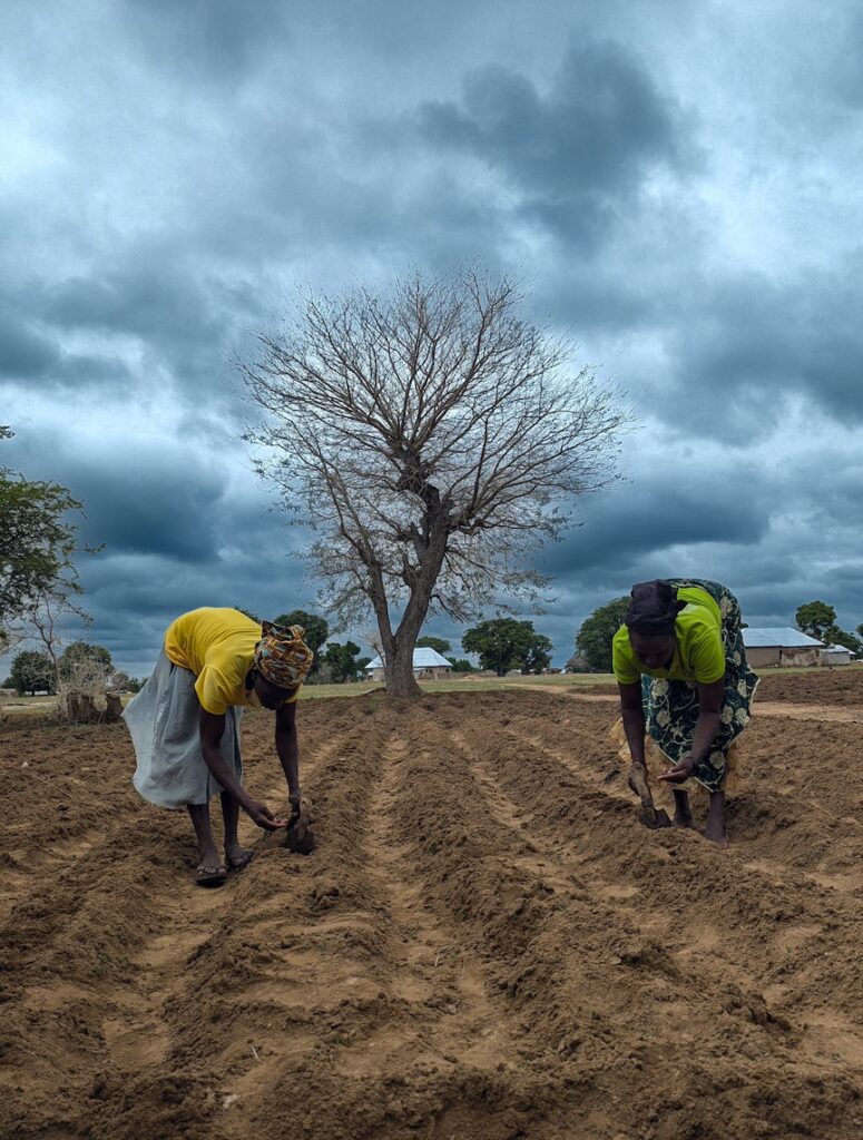 women farmers working in a field with a stormy sky behind them