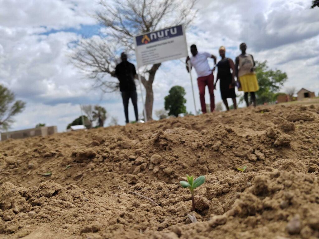 group of people standing by demonstration plot sign for Nuru Ghana as a seed sprouts from the dirt