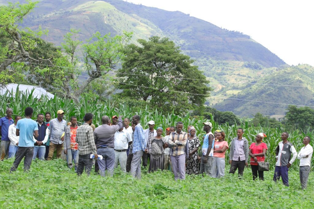 group of farmers standing outside in a field in Ethiopia, listening to a group trainer