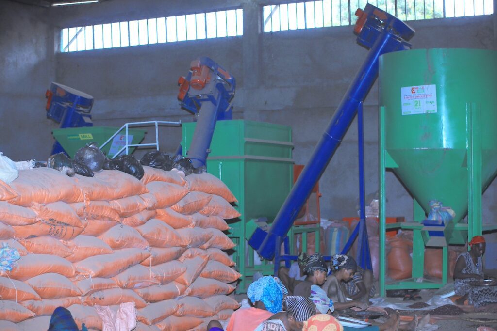 group of women processing grain in front of bags of grain and processing equipment in Ethiopia