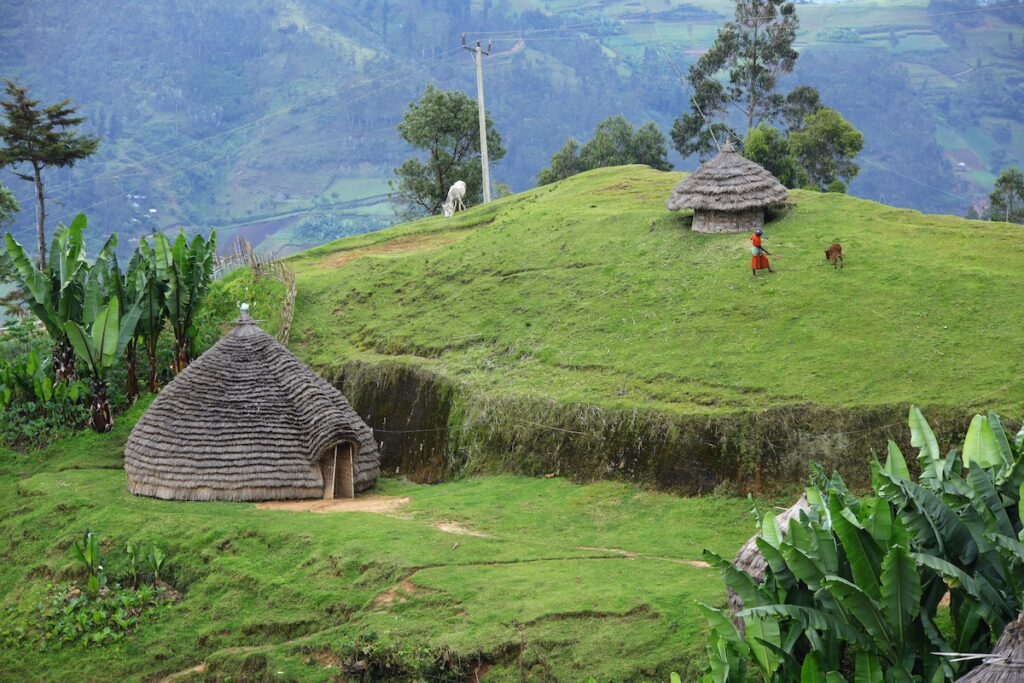 landscape of Ethiopia with Ethiopian huts, cows, and mountains pictured