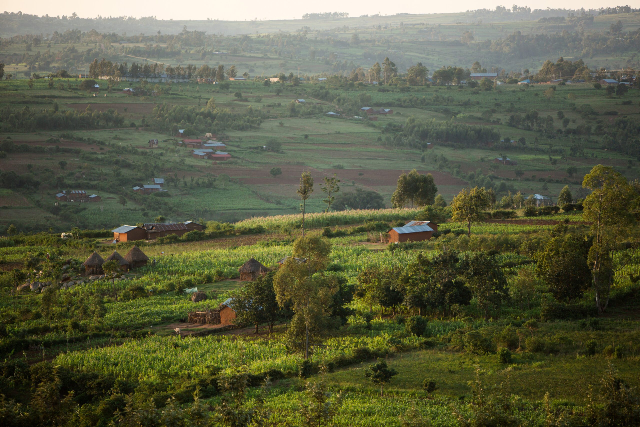 Homa Bay Agribusinesses Commit to Capacity Strengthening