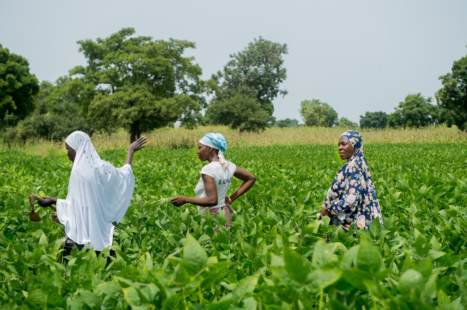 Nuru Burkina Faso: Women Lead and Thrive Through TIFR