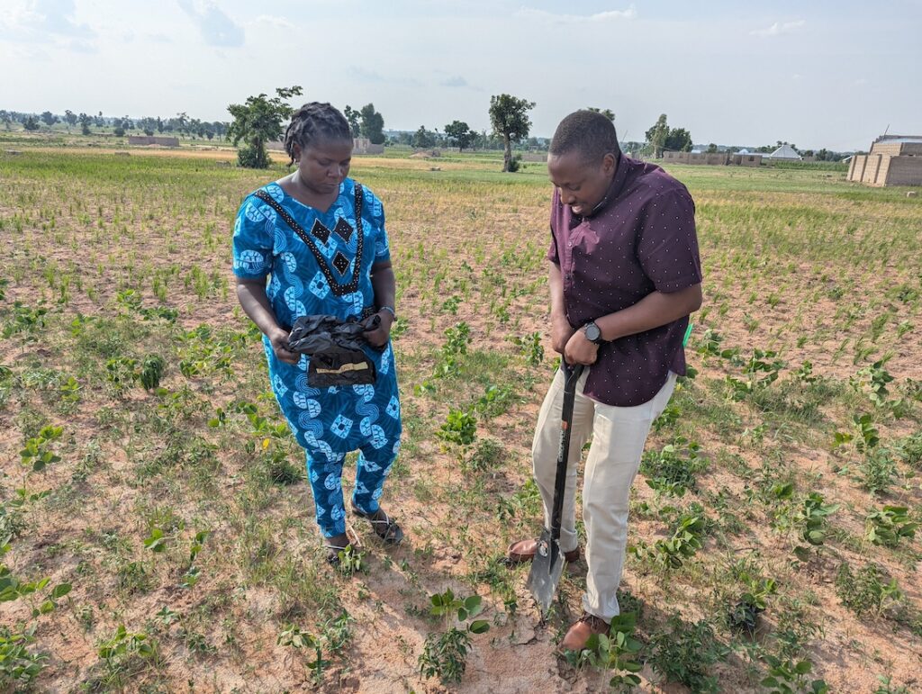 people digging soil in northeast Nigeria