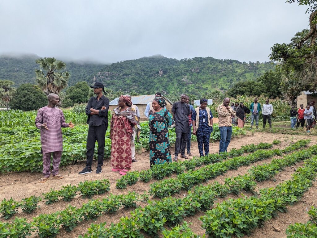 demonstration plots in northeast Nigeria 2024