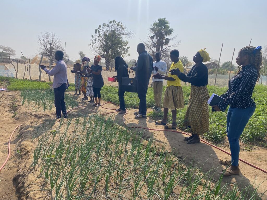 group of people dancing, smiling, and observing a growing garden
