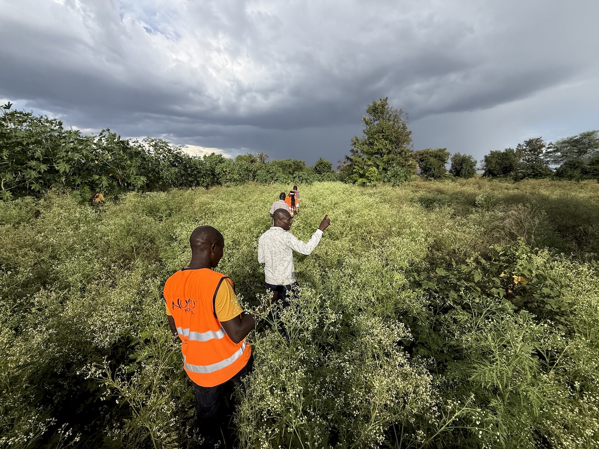 Beekeeping Increases Incomes in Kenya