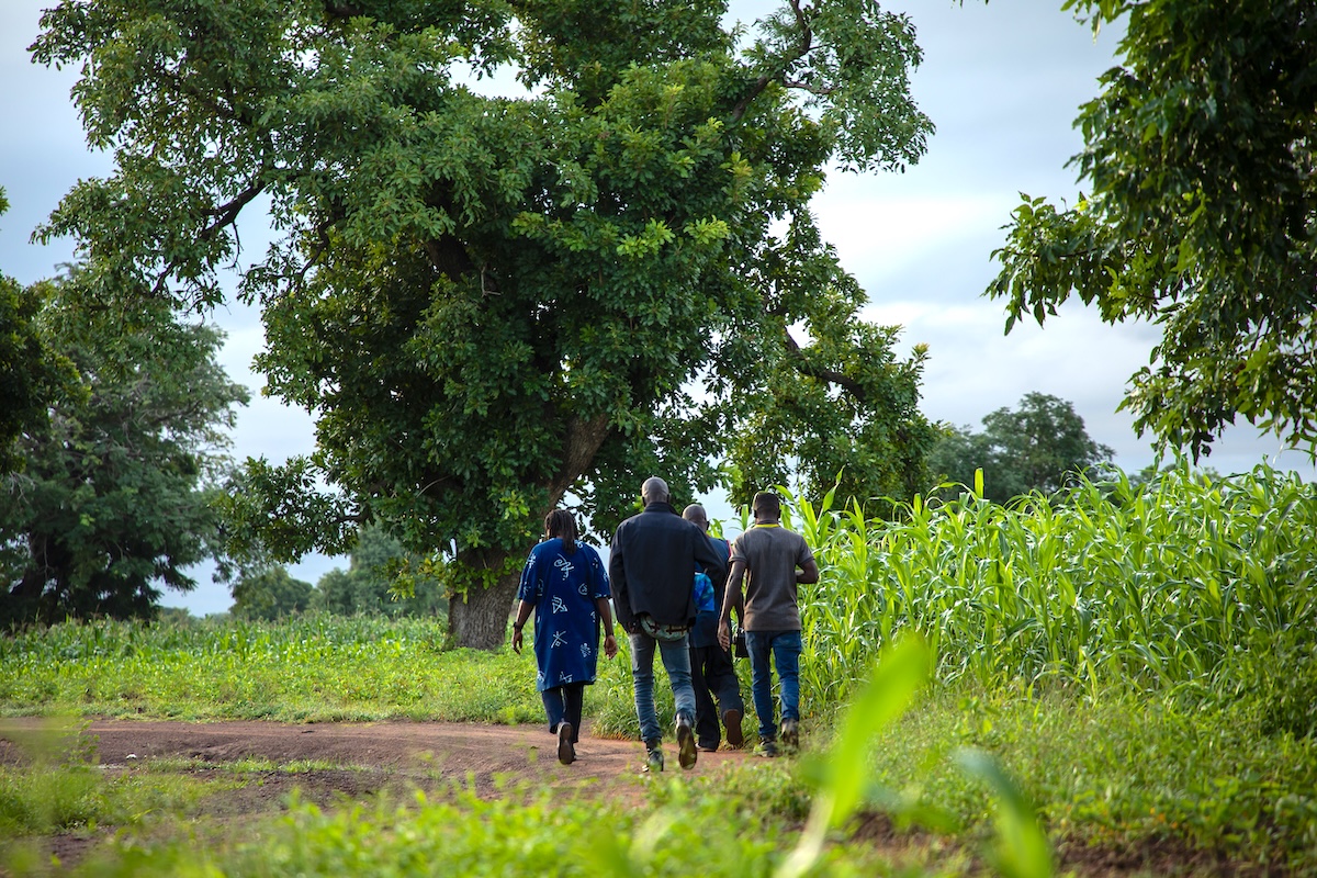 Nuru Announces $7.5 Million Grant from The Leona M. and Harry B. Helmsley Charitable Trust to Strengthen Cooperatives Agribusinesses in West Africa